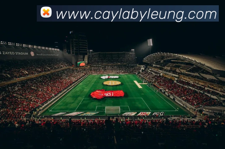 九游体育APP 高清赛事图